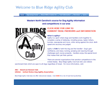 Tablet Screenshot of blueridgeagility.com